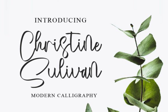 Christine Sulivan Font Review: Elegant Script for Branding