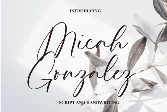 Micah Gonzalez: A Script Amp Font That Elevates Modern Marketing Typography